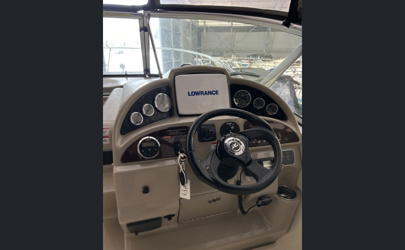 Sea Ray 275 Amberjack-kuva-12